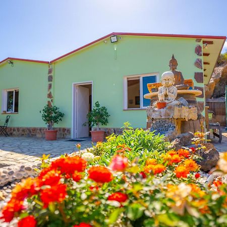 Casa Rural Buda Terra Santa Cruz de Tenerife Bagian luar foto