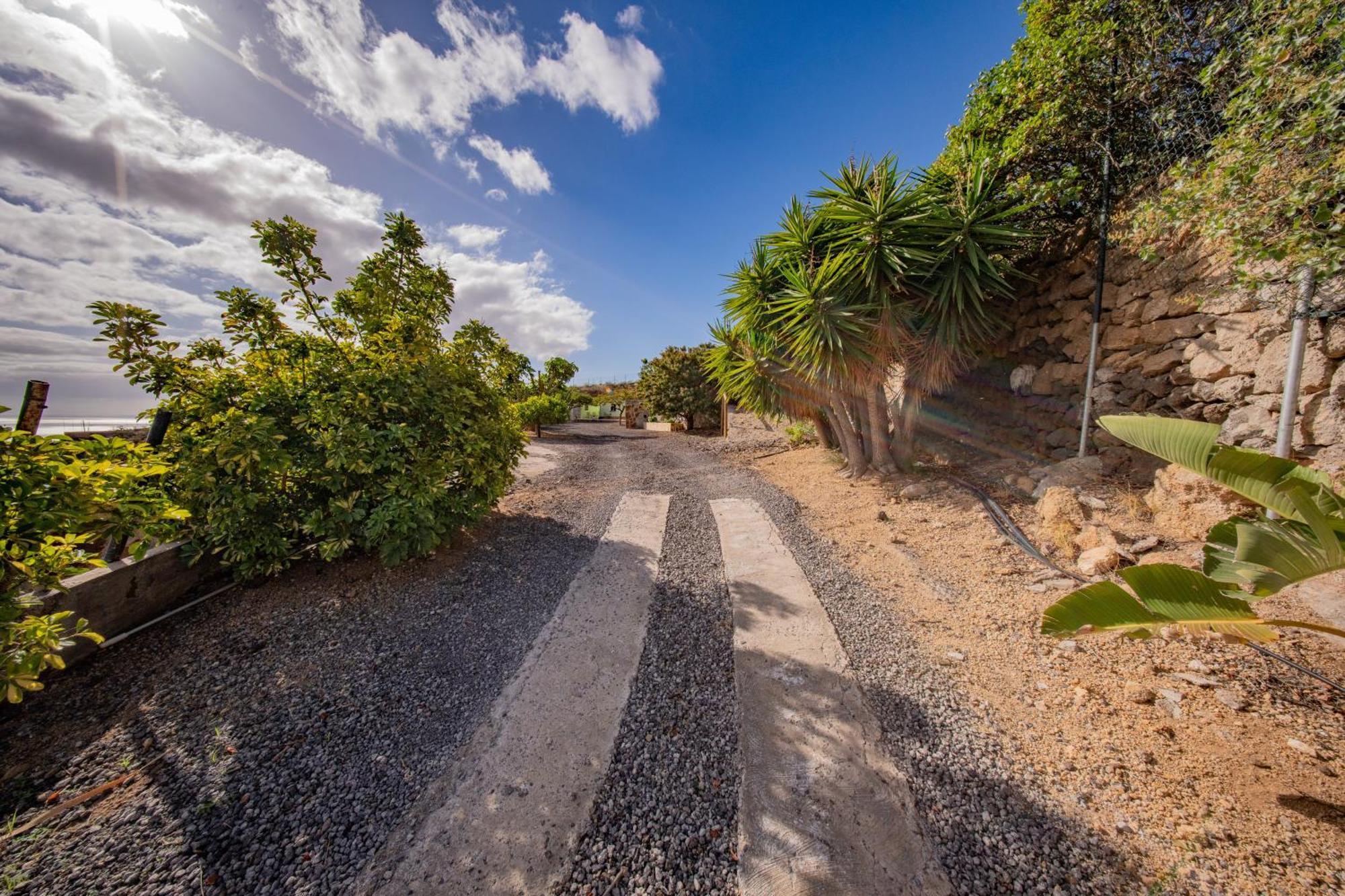 Casa Rural Buda Terra Santa Cruz de Tenerife Bagian luar foto