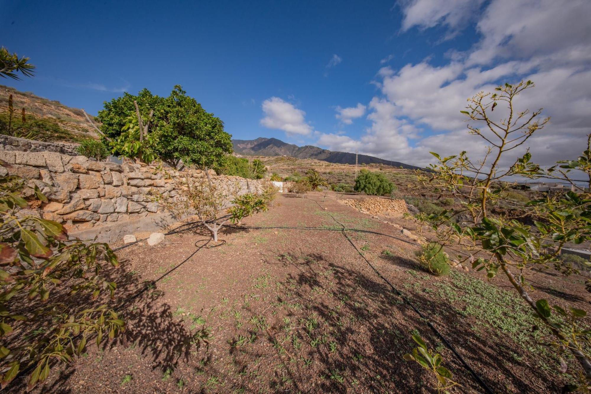 Casa Rural Buda Terra Santa Cruz de Tenerife Bagian luar foto