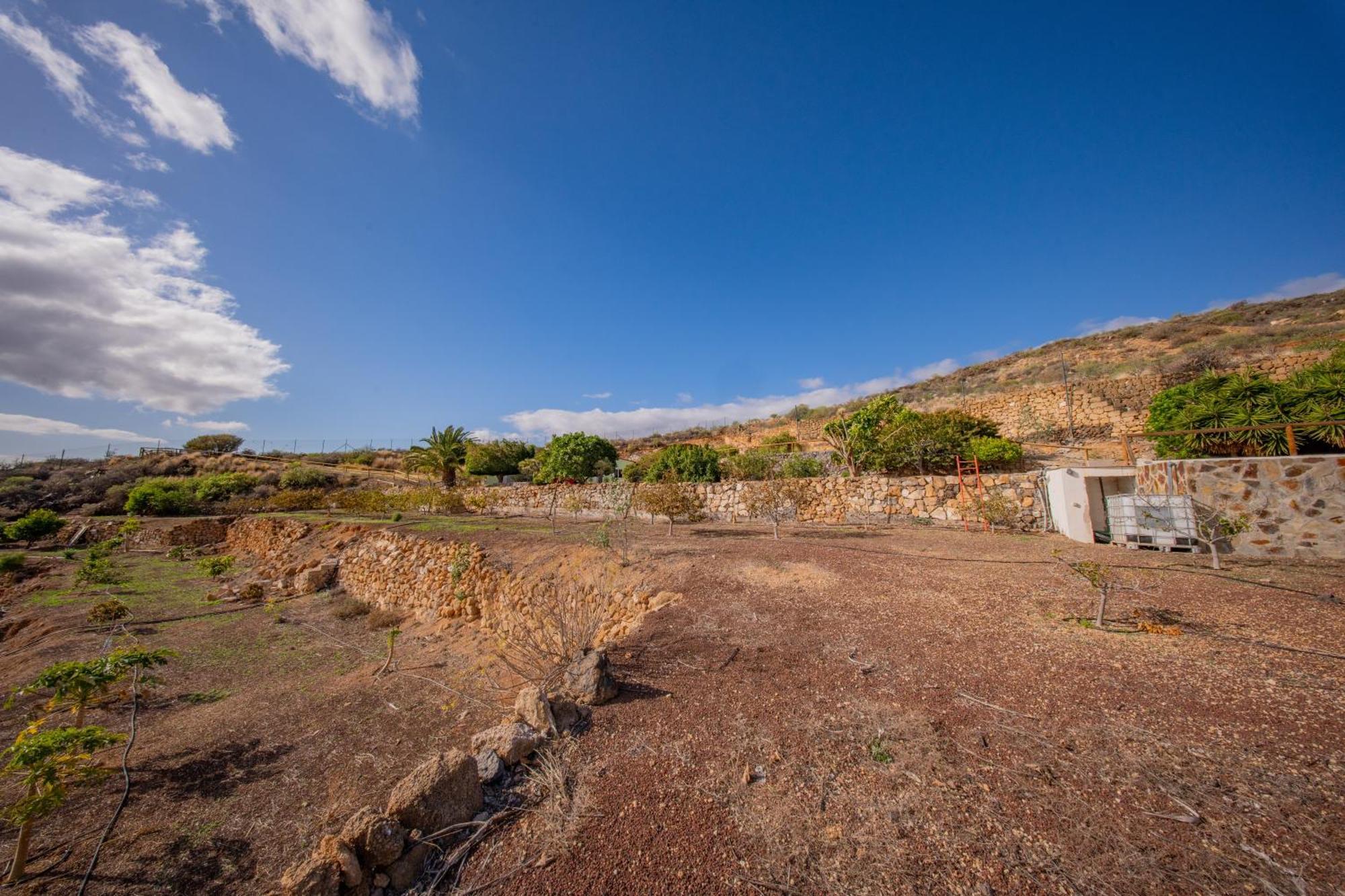 Casa Rural Buda Terra Santa Cruz de Tenerife Bagian luar foto