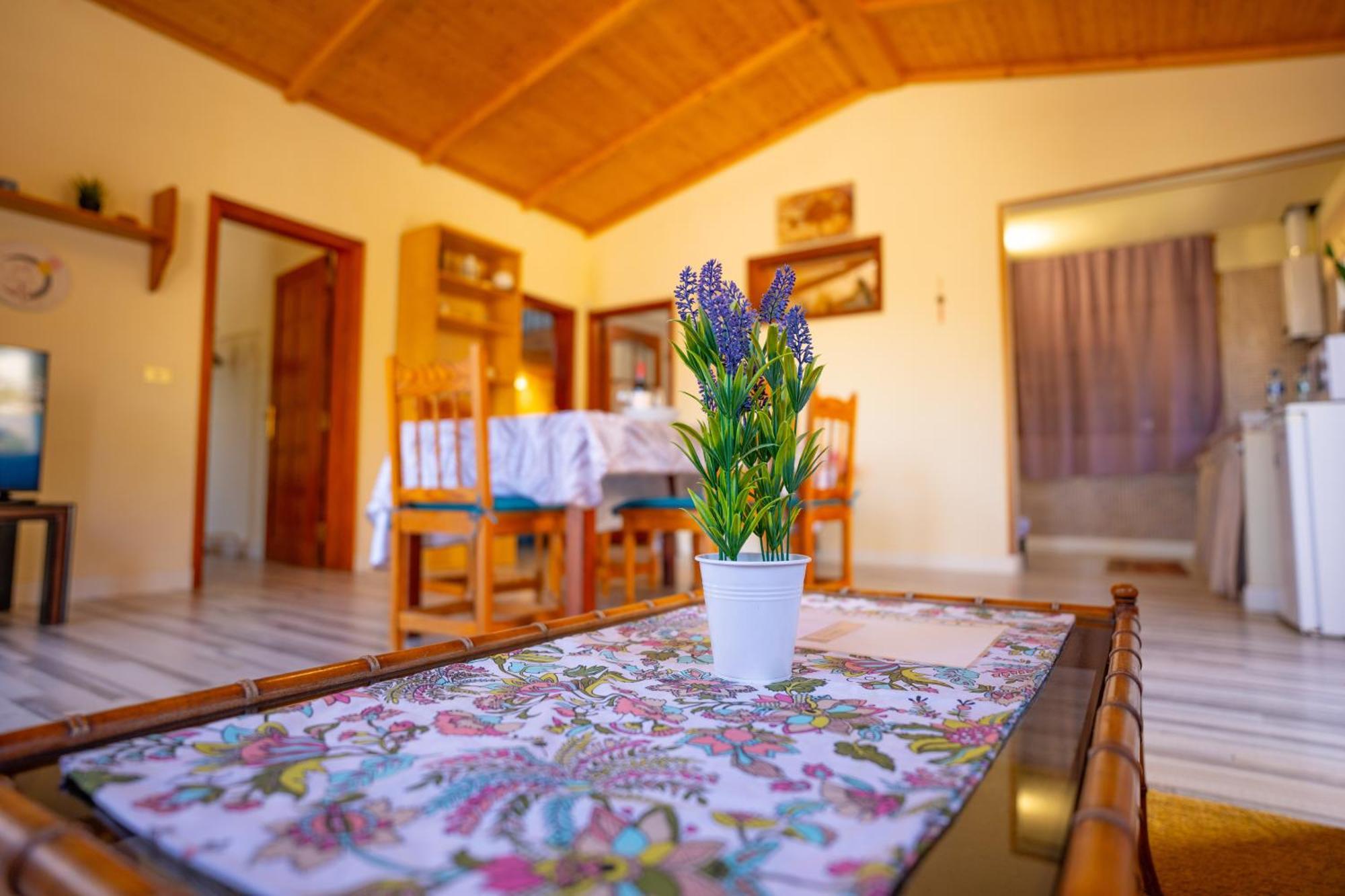 Casa Rural Buda Terra Santa Cruz de Tenerife Bagian luar foto